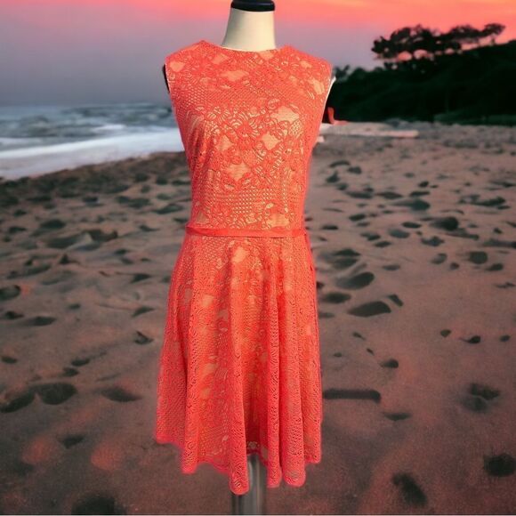 NWT Danny And Nicole Lace Overlay Dress (18) - Picture 1 of 5